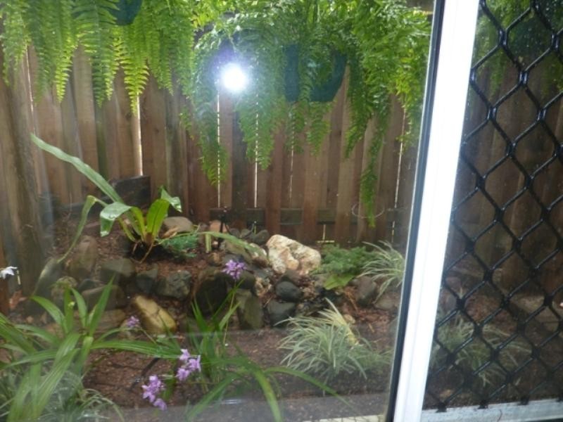 Gordonvale QLD 4865