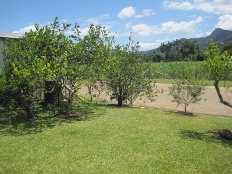 35 Hancock Street, Cairns QLD 4870