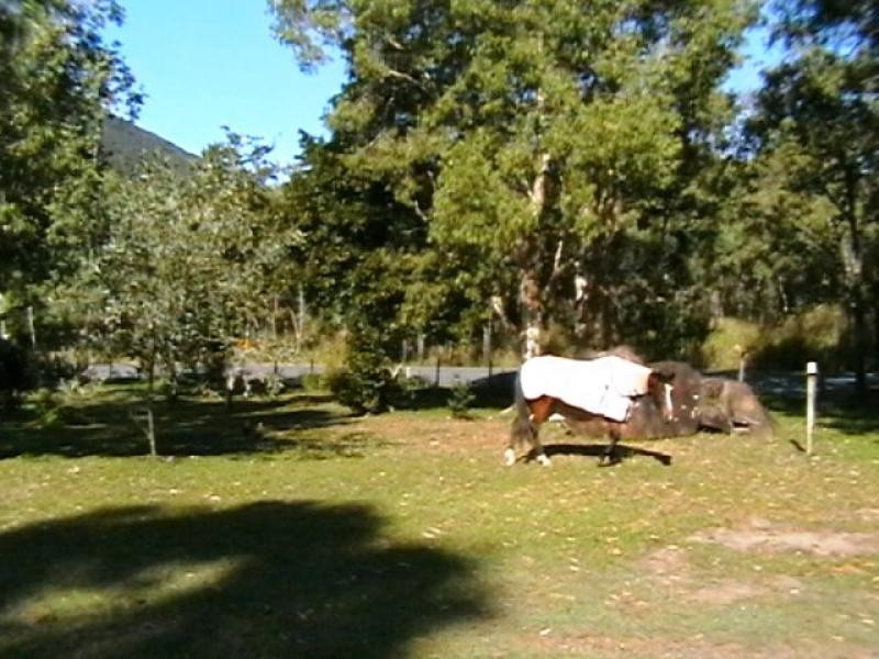 East Trinity QLD 4871