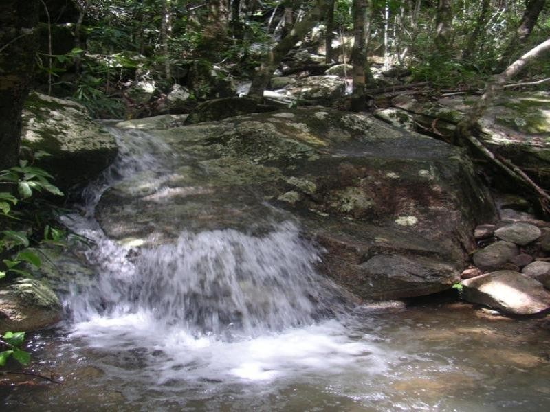 East Trinity QLD 4871