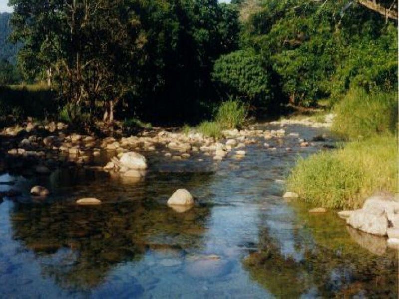Bellenden Ker QLD 4871