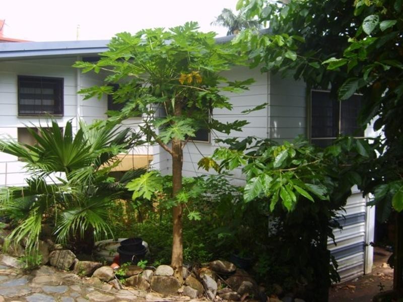 East Trinity QLD 4871