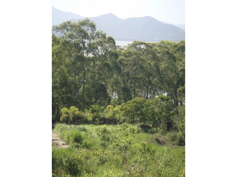 East Trinity QLD 4871