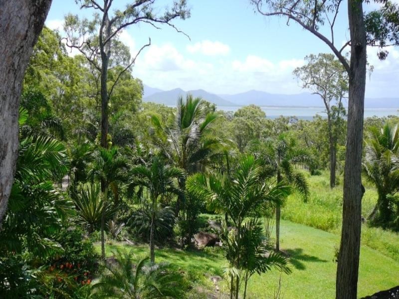 East Trinity QLD 4871