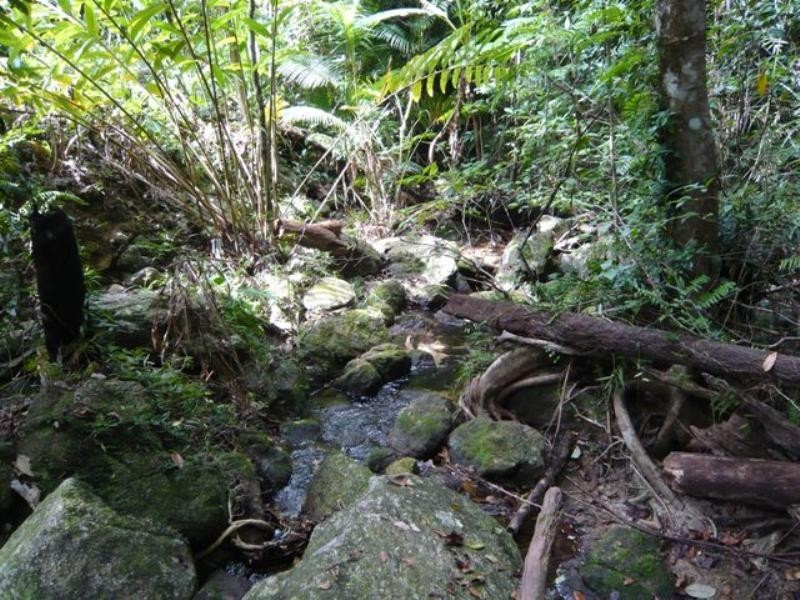 Bellenden Ker QLD 4871