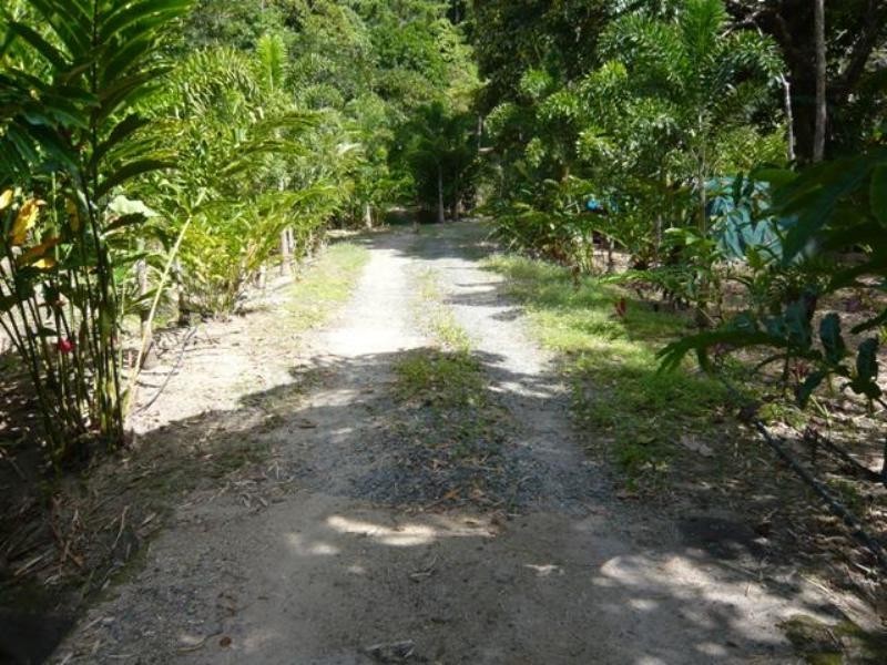 Bellenden Ker QLD 4871