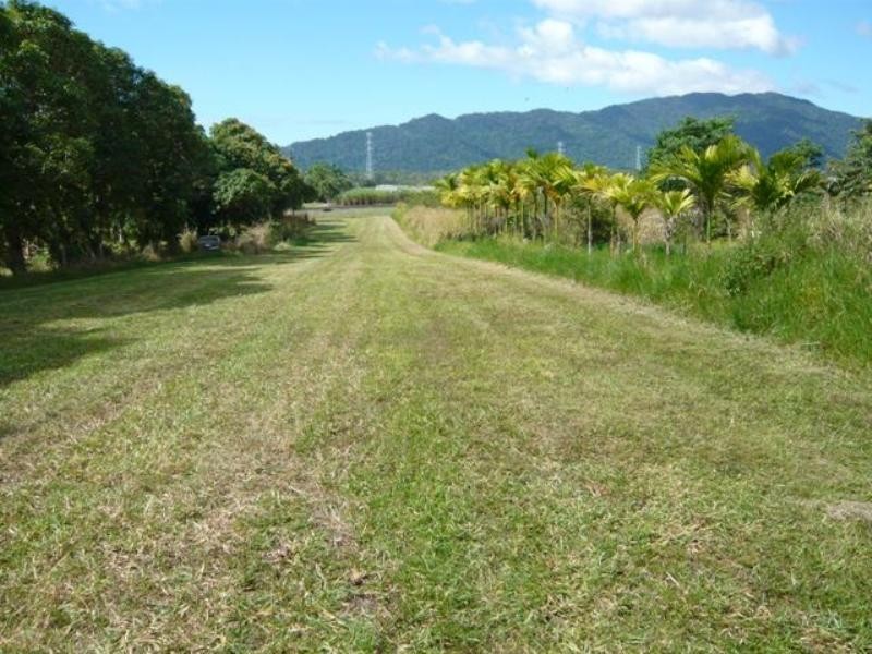 Bellenden Ker QLD 4871