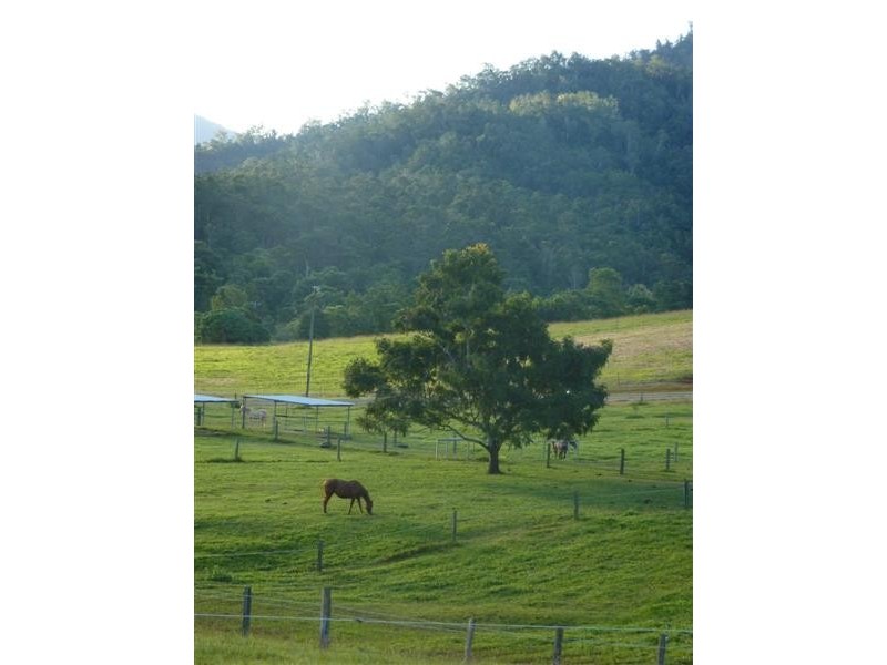 Little Mulgrave QLD 4865