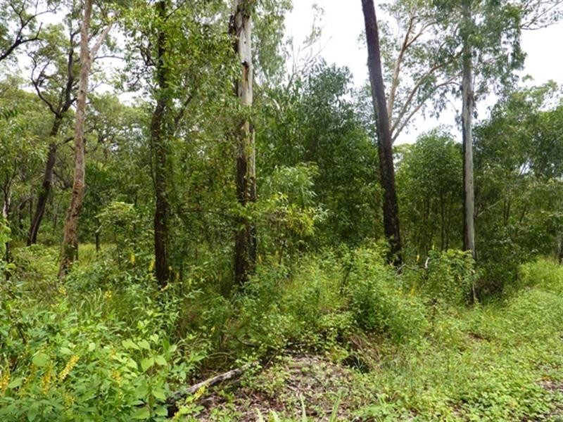 East Trinity QLD 4871