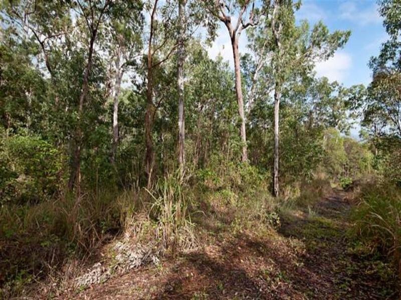 East Trinity QLD 4871