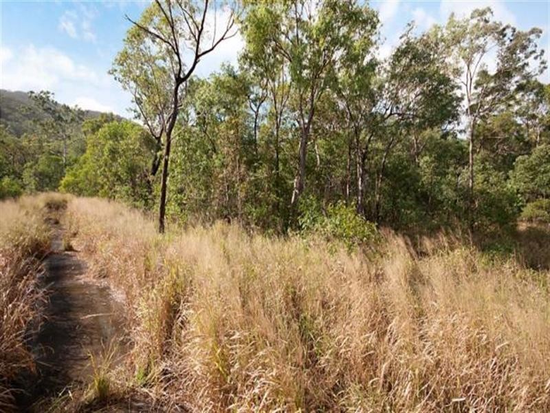 East Trinity QLD 4871