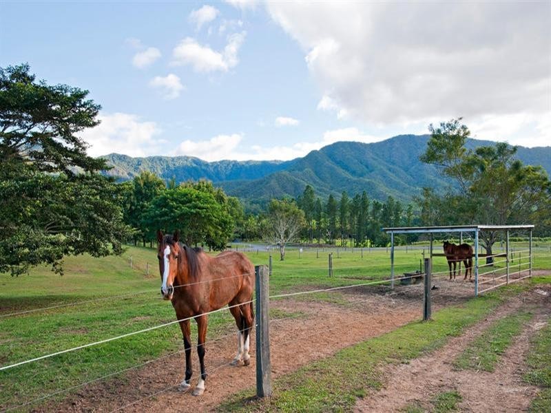 3 Beryl Ann Drive, Gordonvale QLD 4865