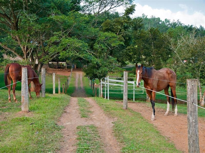 3 Beryl Ann Drive, Gordonvale QLD 4865