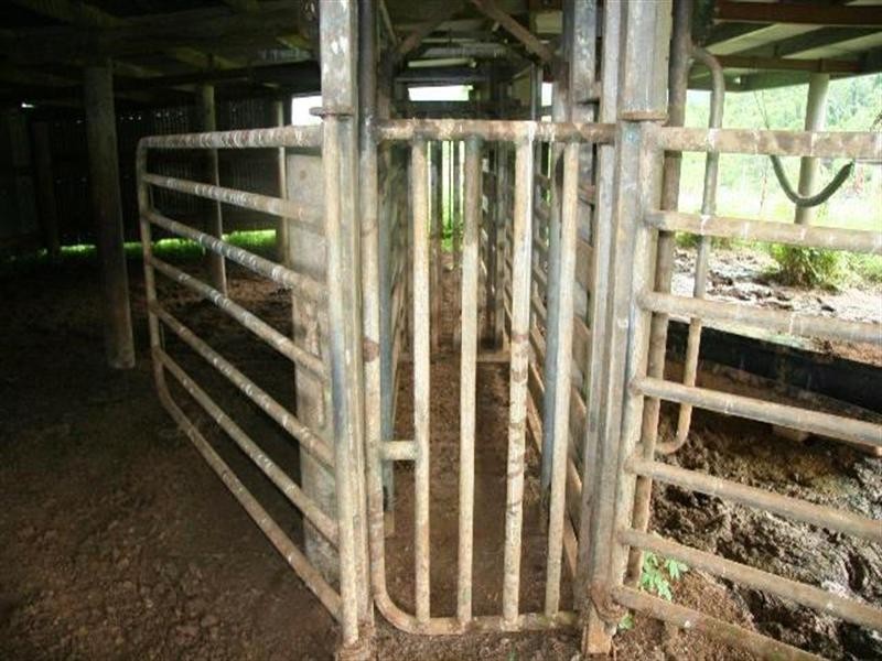 Bellenden Ker QLD 4871