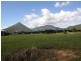 Gordonvale QLD 4865