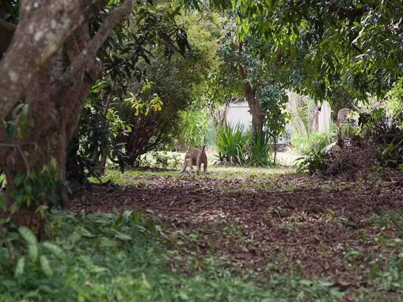 13-15 Evergreen Street, Clifton Beach QLD 4879