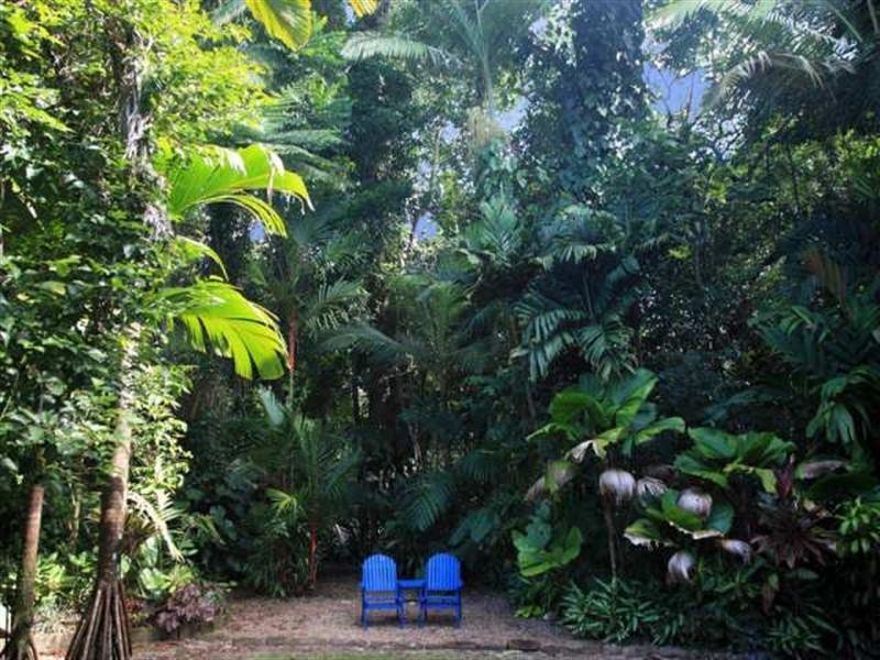 21 Munro Road, Bellenden Ker QLD 4871