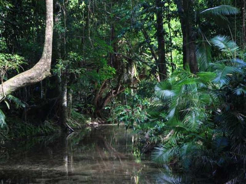 21 Munro Road, Bellenden Ker QLD 4871