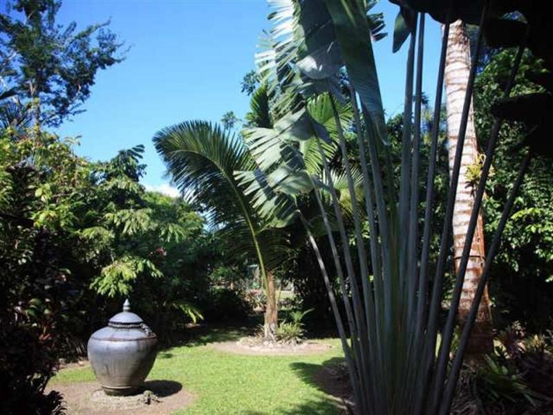 21 Munro Road, Bellenden Ker QLD 4871