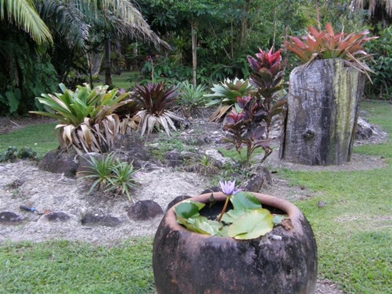 21 Munro Road, Bellenden Ker QLD 4871