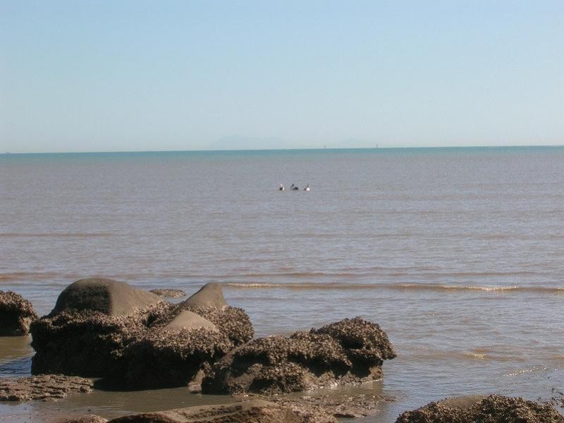Gordonvale QLD 4865