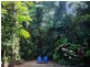 21 Munro Road, Bellenden Ker QLD 4871