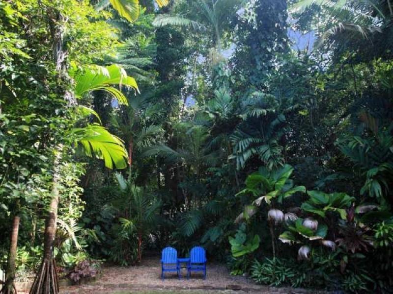 21 Munro Road, Bellenden Ker QLD 4871