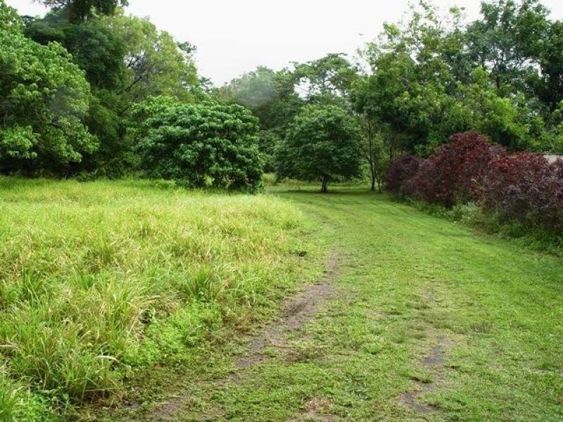 East Trinity QLD 4871