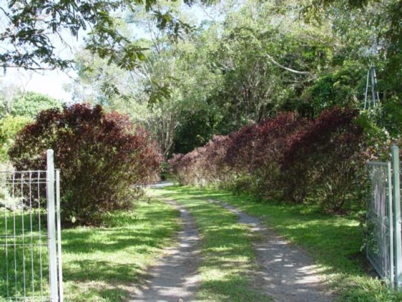 East Trinity QLD 4871