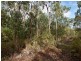 75 Pine Creek Road, East Trinity QLD 4871