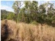 75 Pine Creek Road, East Trinity QLD 4871