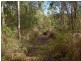75 Pine Creek Road, East Trinity QLD 4871
