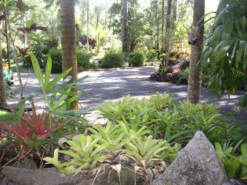 1252 Pine Creek Road, East Trinity QLD 4871