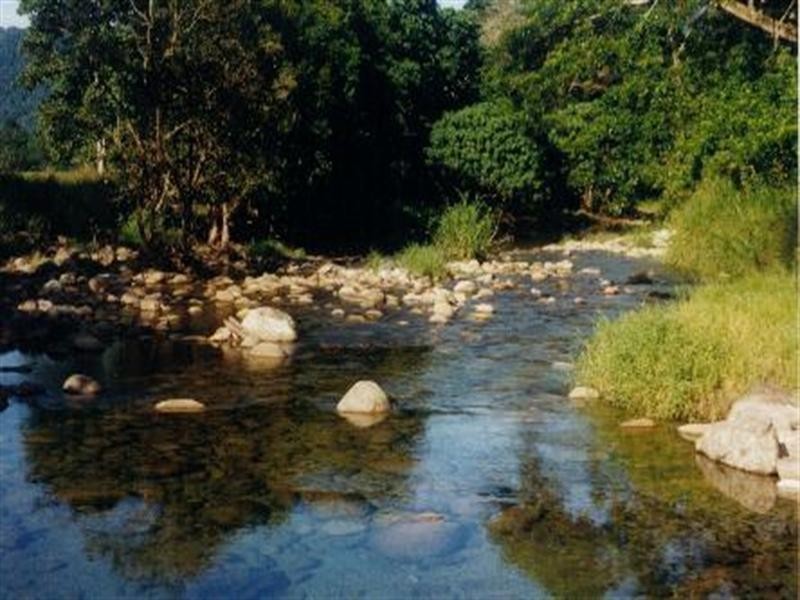 Bellenden Ker QLD 4871