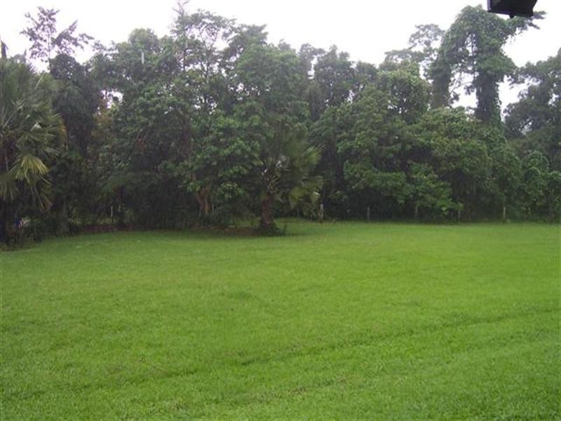 Bellenden Ker QLD 4871