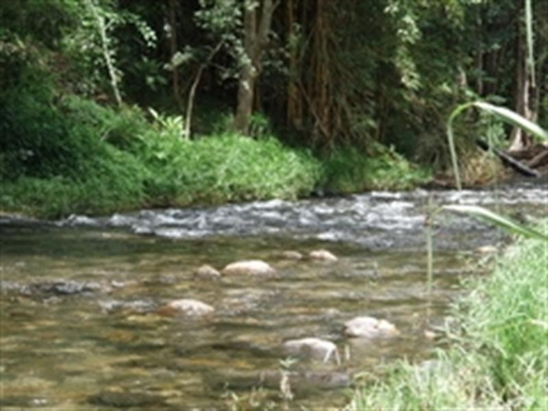 26 Claim Close, Goldsborough QLD 4865