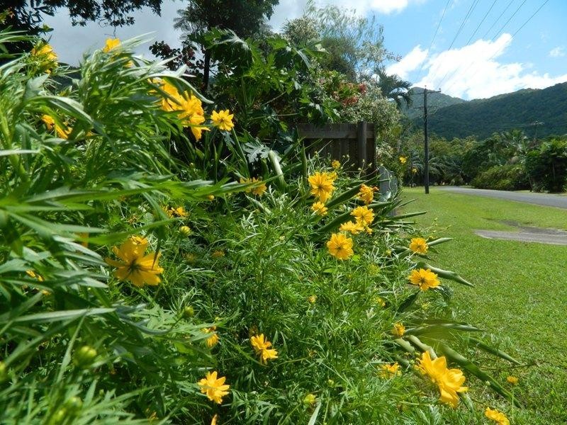 Fishery Falls QLD 4871