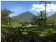 66 Vico Street, Gordonvale QLD 4865