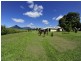 71306 Bruce Highway, Gordonvale QLD 4865