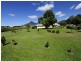 71306 Bruce Highway, Gordonvale QLD 4865