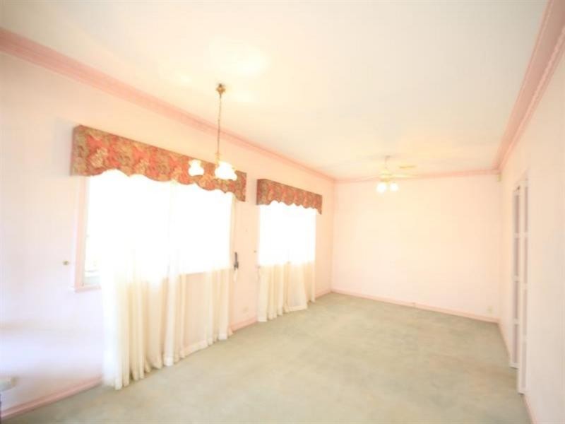 3 Effingham Street, Tarragindi QLD 4121