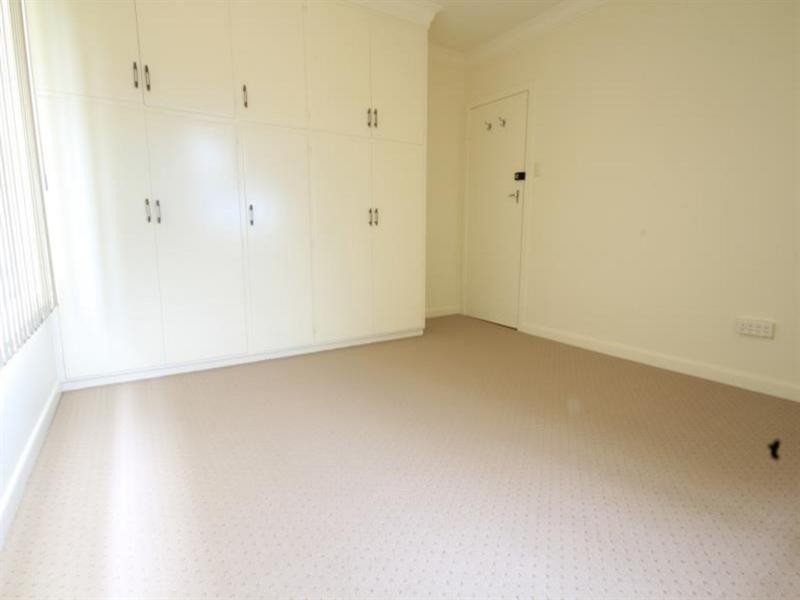 29 Thelma Street, Mount Gravatt East QLD 4122