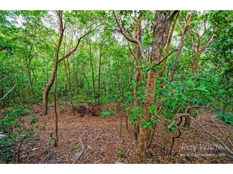 7 Prenzler Street, Upper Mount Gravatt QLD 4122