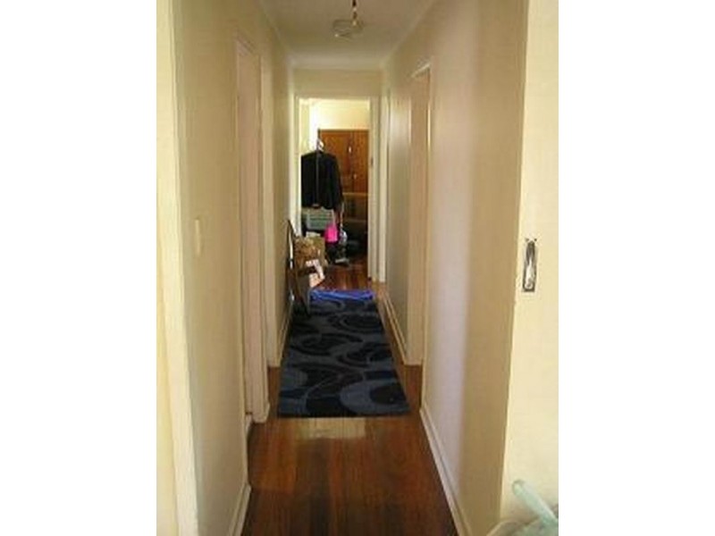 31 Diamond Street, Holland Park QLD 4121