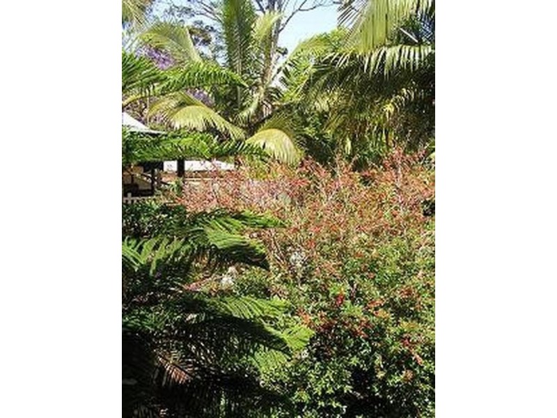 31 Diamond Street, Holland Park QLD 4121