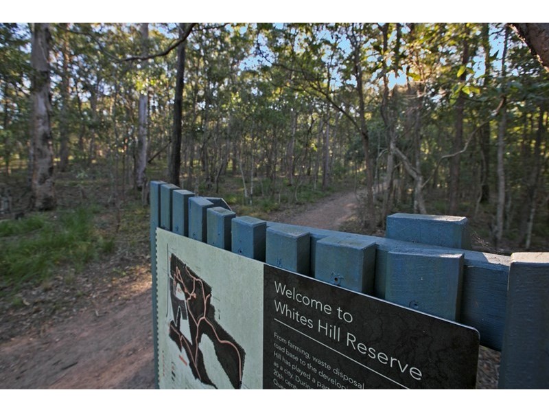 825 Cavendish Road, Holland Park QLD 4121