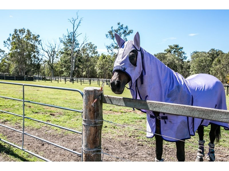 85-91 Warren Street, Mount Cotton QLD 4165