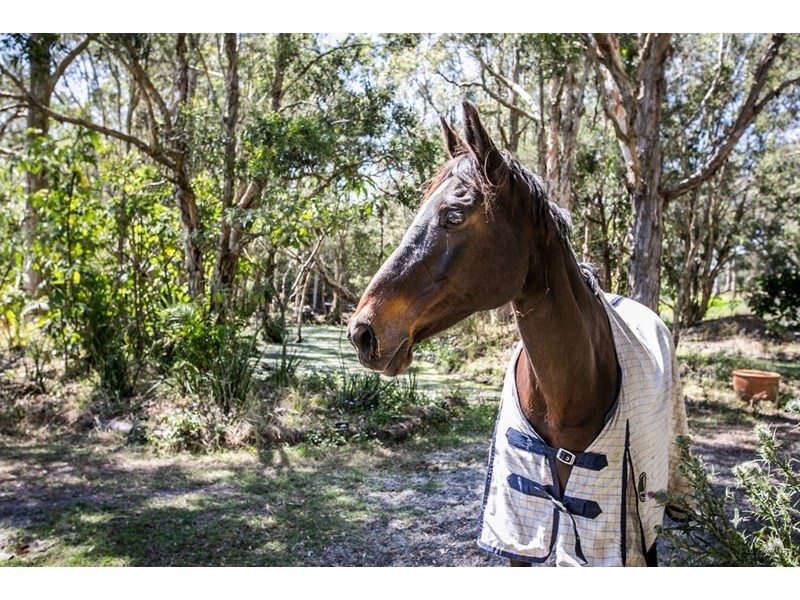 85-91 Warren Street, Mount Cotton QLD 4165