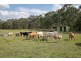 200 Collins Road, Stanthorpe QLD 4380