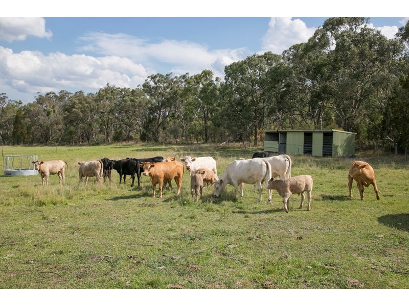 200 Collins Road, Stanthorpe QLD 4380